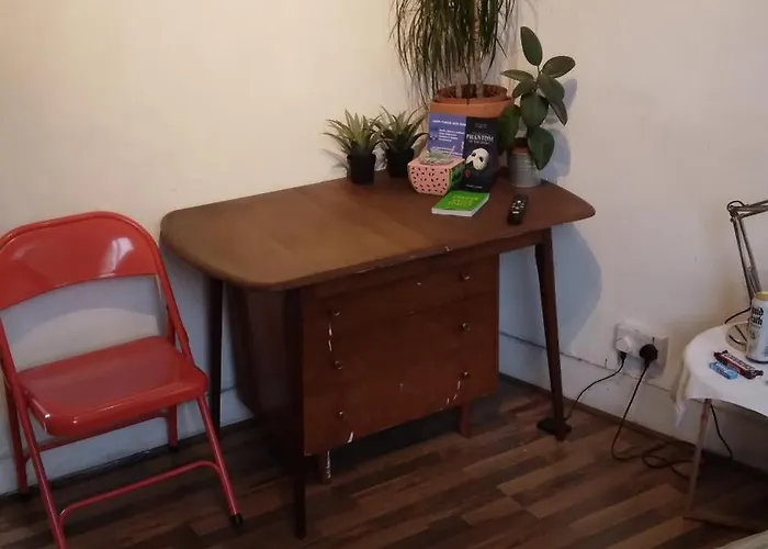 Shoreditch Studio Apartment With Private Shower And Toilet